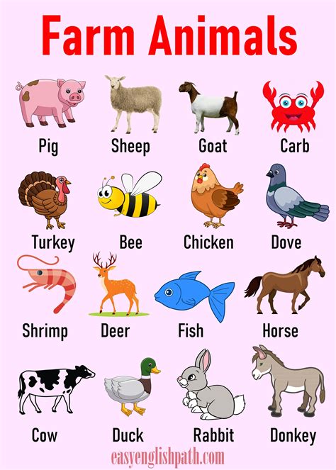 Farm Animals List A-Z in English with Pictures | Farm animals list ...