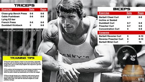 Arnold Biceps And Triceps Workout Routine - Schwarzenegger 