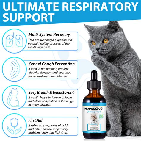 Oimmal Kennel Cough Treatment for Cats - 2Pack · oimmal
