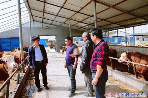 新疆新和县：发展养牛合作社 助推“增牛工程”_县域经济网