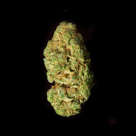 White 99 Strain | Sativa-Dominant Hybrid | Lightshade