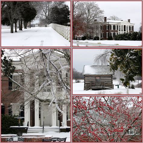 Recollections of a Vagabonde: Rippavilla Plantation in Tennessee