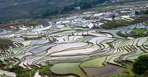 Agriculture China 的图像结果