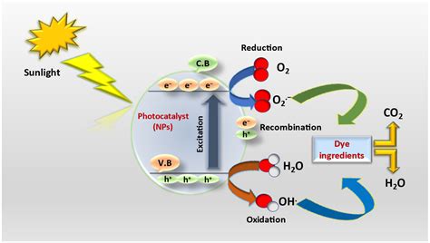 Mechanism Of Photocatalytic Degradation