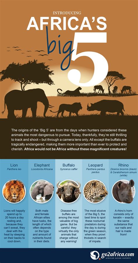 Facts Stranger Than Fiction Amazing Facts About Africa