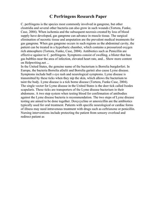 Essay On Apj Abdul Kalam | PDF