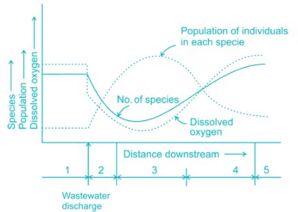 The following zones are formed in a polluted river.(1) zone of clear ...