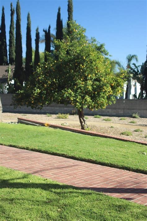 JOHN GALVIN PARK (2026) All You Need to Know BEFORE You Go (with Photos ...