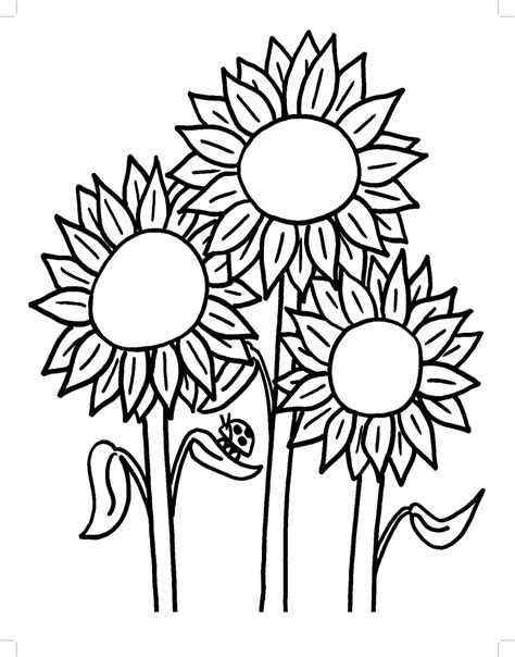 Sunflower coloring pages | 100 Free coloring pages