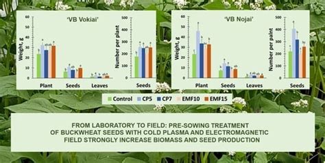Changes in Agricultural Performance of Common Buckwheat Induced by Seed ...