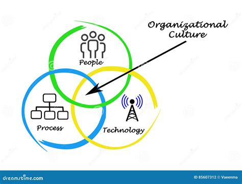 Organizational Culture 的图像结果