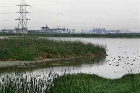 Local bodies clear eco checks for huge properties