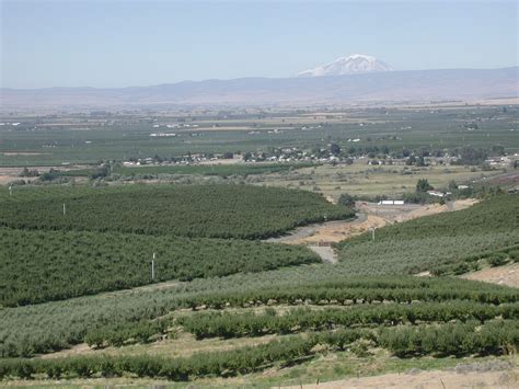 Agriculture In Yakima