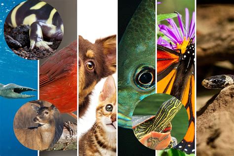 Apparently There Was an Earthquake in Northern Illinois