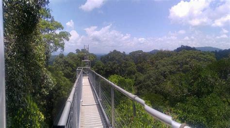 ULU TEMBURONG NATIONAL PARK (2025) All You Need to Know BEFORE You Go ...