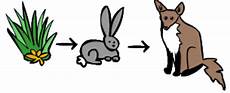 Food Chain Clipart by Free Food Chain Cliparts Free Clip Free Food Chain Clipart