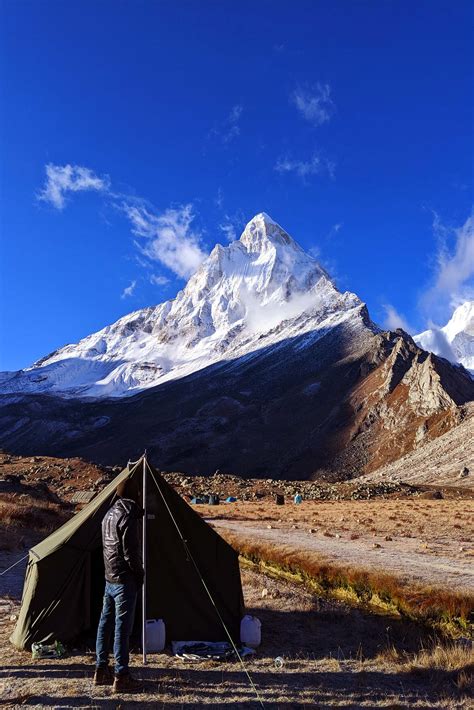 Gaumukh Tapovan Trek 2026 - Book Now @ Rs.13999 (37% off)