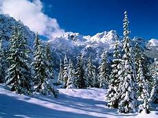 Winter Winter Background by Winter Wallpaper Background Cool Winter Wallpaper Winter Winter Background