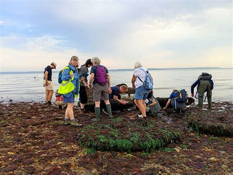 Winter Shore Discovery Sessions - Hayling Island West beach, West Beach ...