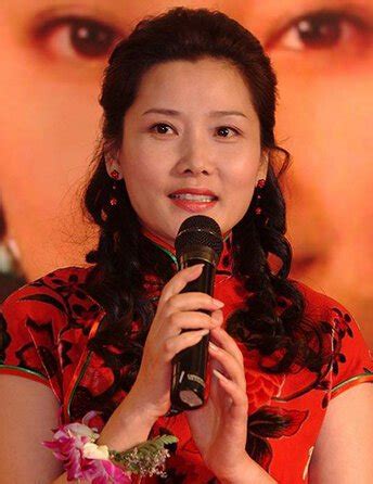 何赛飞(Caifei He)参演电视剧作品（1997-2010）图片图集-万佳查