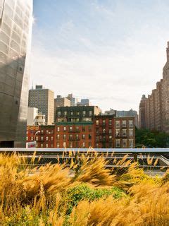 Download wallpaper 240x320 new york, buildings, streets, grass, sky old ...