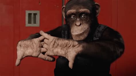 Chimpanzee Movie Trailer