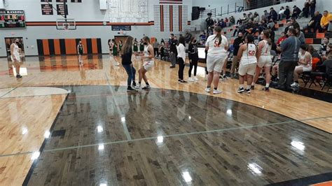 Leslie’s defense keys win over Napoleon - mlive.com