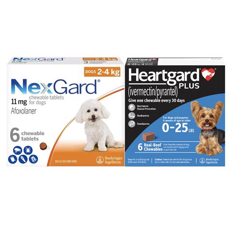 NexGard Plus vs NexGard Spectra: Which One Is Right for Your Dog?