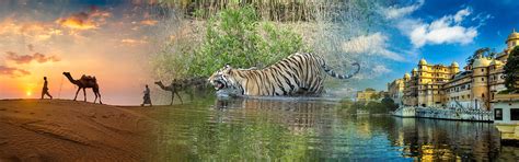 Rajasthan Tour Packages: Explore Culture, Heritage, Wildlife, and ...