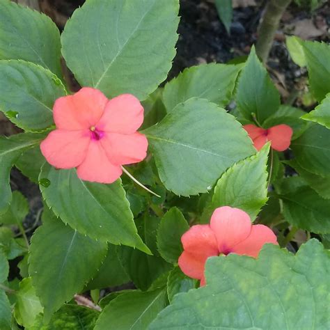 Andrea Castro (@andreacastro7675) • Instagram photos and videos