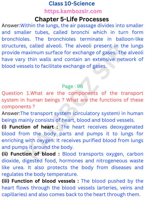 Chapter Life Processes Class 10 Shubham Pathak 的图像结果