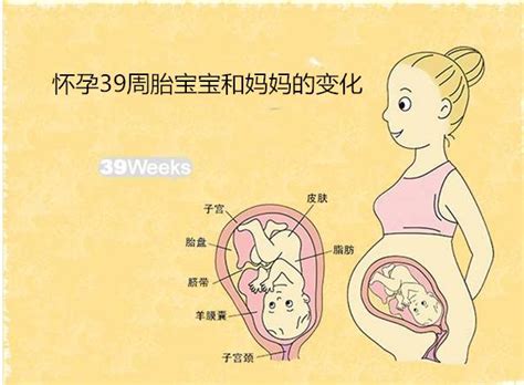 怀孕37周了，做b超显示胎儿双侧侧脑室后角增宽12mm.医生让做了核磁共振 做了后结果显示最宽处 - 百度宝宝知道