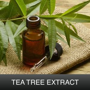 Buy Lacto Calamine Activated Charcoal Face Wash Online - Wellify