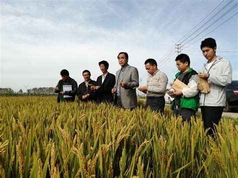 苏州76家机构免费提供农产品质量安全快速检测服务 -名城苏州新闻中心