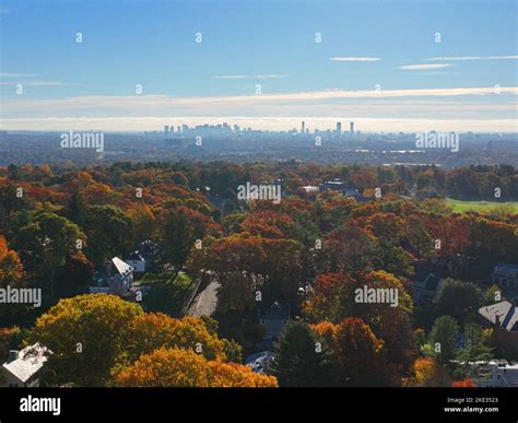 Belmont suburban landscape aerial view in fall with Boston modern city ...