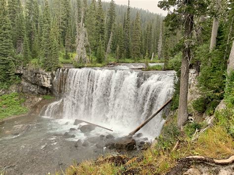 Into the zone of death: Four days spent deep in the Yellowstone National Park backcountry ...
