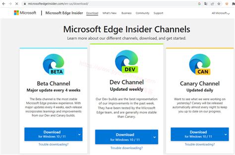 Bing Search Homepage 的图像结果