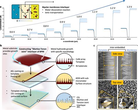 Image result for Process for Making MBM
