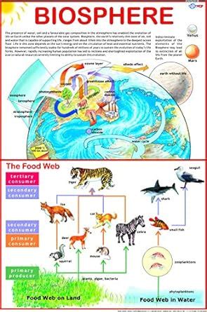 Buy Biosphere Chart Book Online at Low Prices in India | Biosphere ...