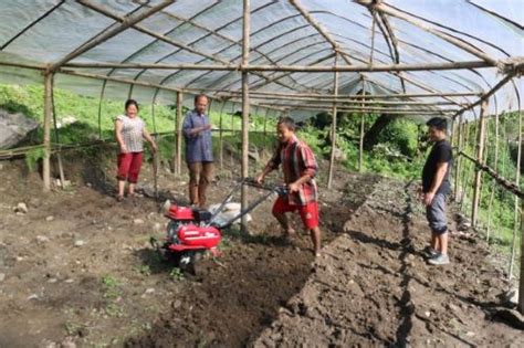 “From Terraces to Transformation: How Farm Mechanization Sparked a New ...
