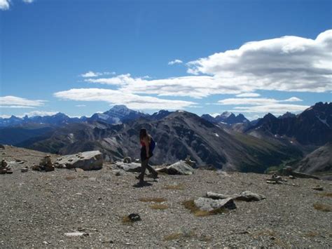 Canadian Skyline Adventures (Jasper National Park) - 2022 What to Know ...