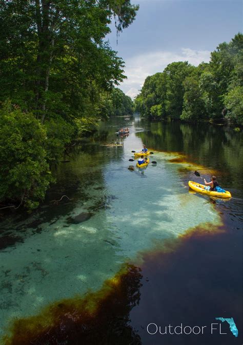 Paddling the Santa Fe River : r/florida