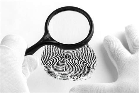 Forensic Science 的图像结果