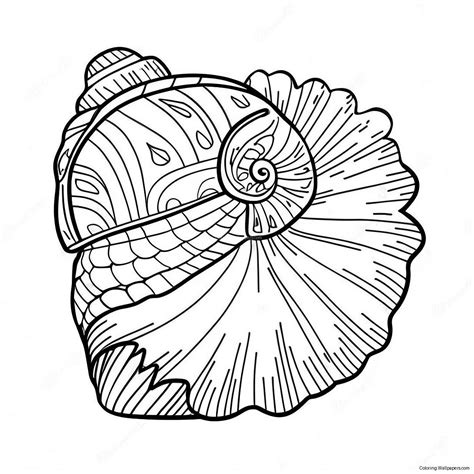 Seashell Coloring Page (2590-2072)