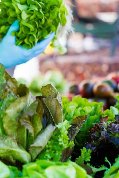 Local Produce Market 的图像结果