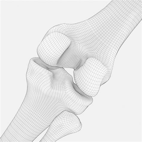 3D Knee Anatomy - TurboSquid 1959434