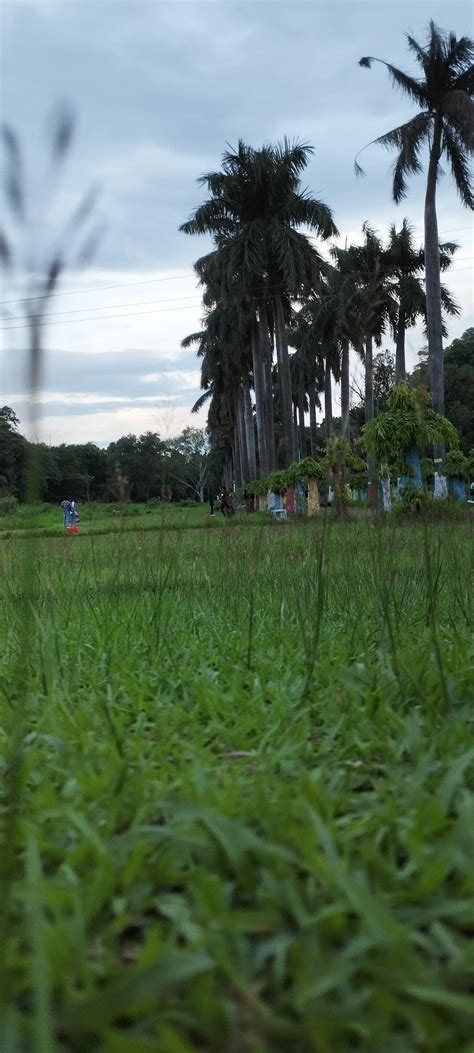 Weather : r/linux_devices