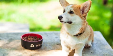 Lisinopril vs. Losartan for High Blood Pressure: 8 Similarities and ...