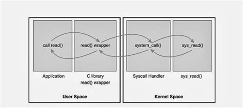 Linux System Call Programming 的图像结果