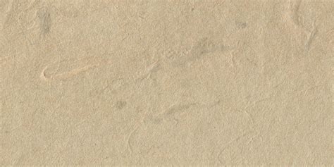 Nature Paper 的图像结果